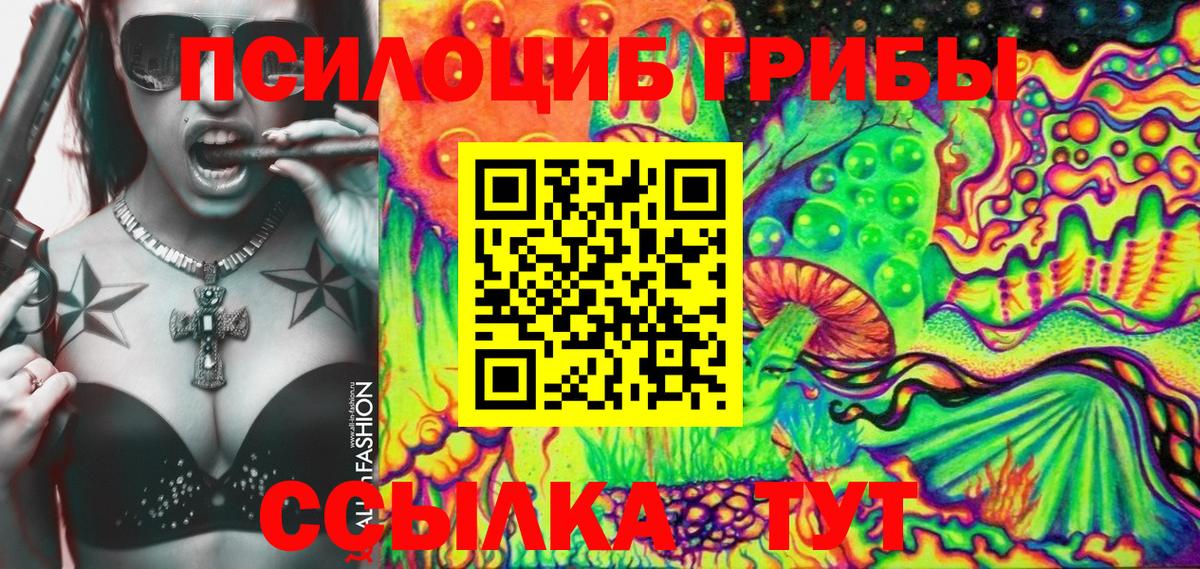 Галлюциногенные грибы Psilocybe Озёрск